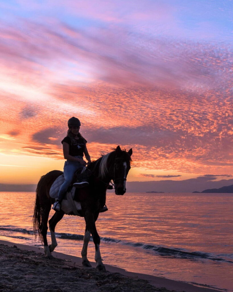 Horseback Riding